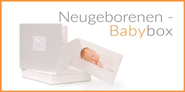 Neugeborenen-Babybox